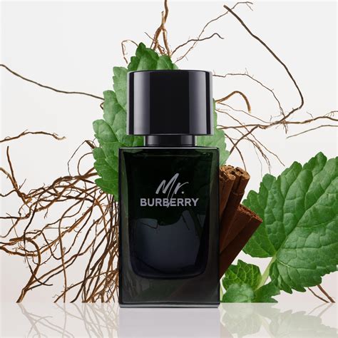 superwinkel mr burberry|mr burberry eau de parfum.